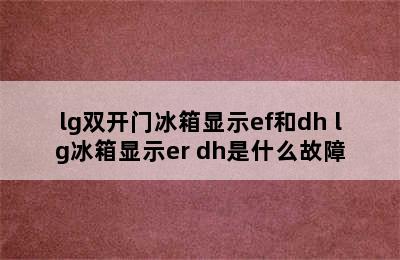 lg双开门冰箱显示ef和dh lg冰箱显示er dh是什么故障